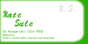 mate sule business card