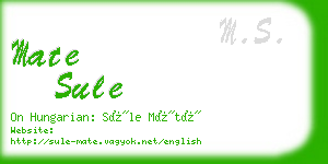 mate sule business card